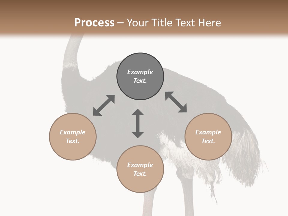 Nature Wild Shot PowerPoint Template