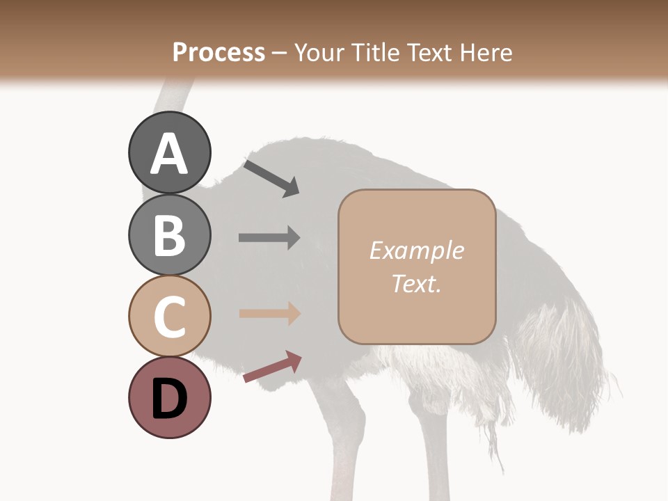 Nature Wild Shot PowerPoint Template
