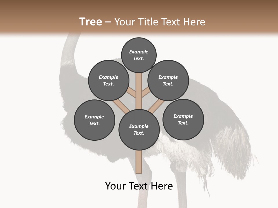 Nature Wild Shot PowerPoint Template