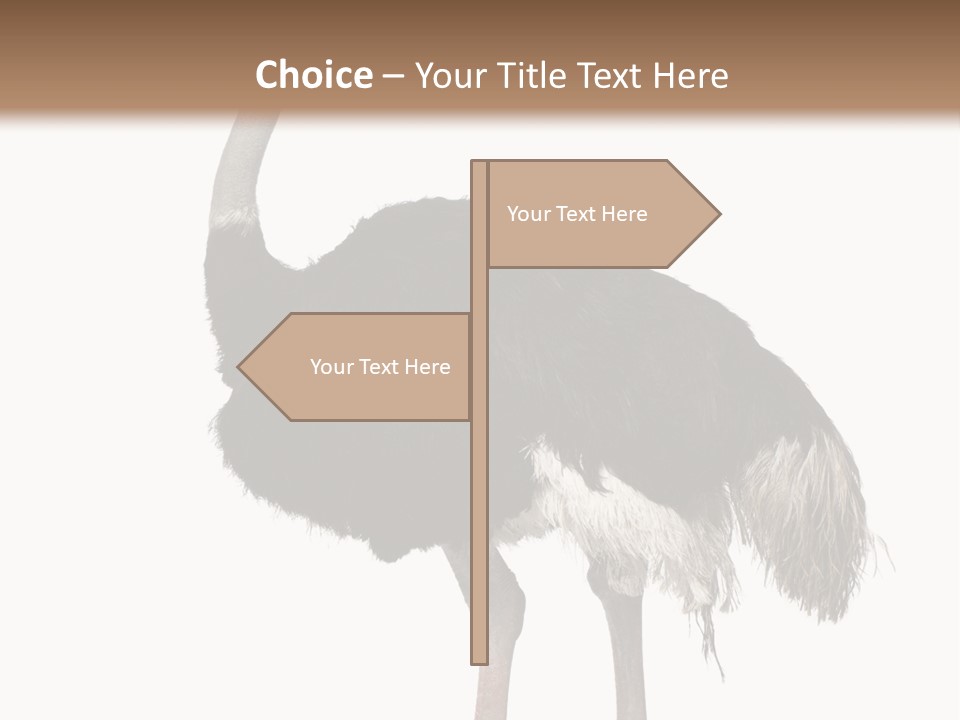 Nature Wild Shot PowerPoint Template