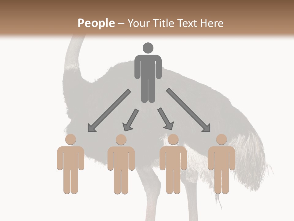 Nature Wild Shot PowerPoint Template