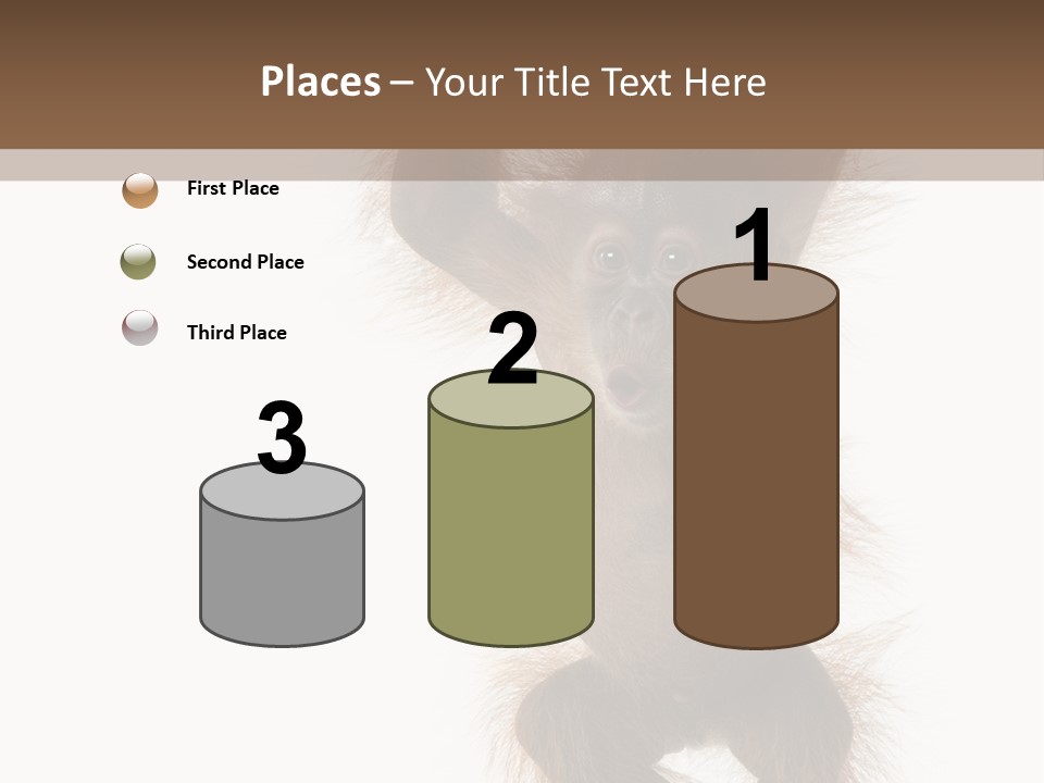 Indoors White Young Animal PowerPoint Template