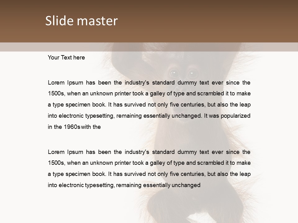 Indoors White Young Animal PowerPoint Template