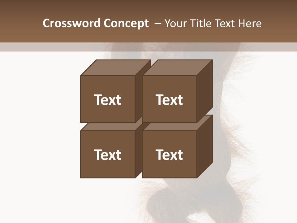 Indoors White Young Animal PowerPoint Template