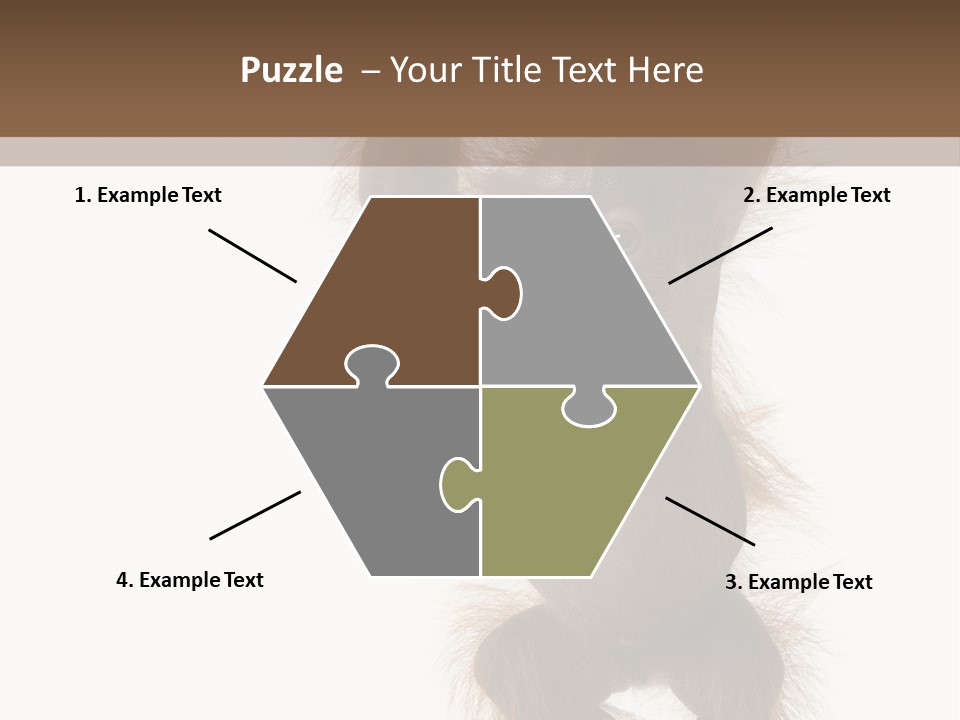 Indoors White Young Animal PowerPoint Template