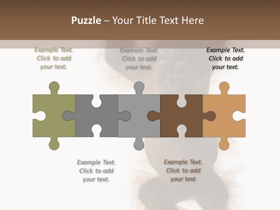 Indoors White Young Animal PowerPoint Template