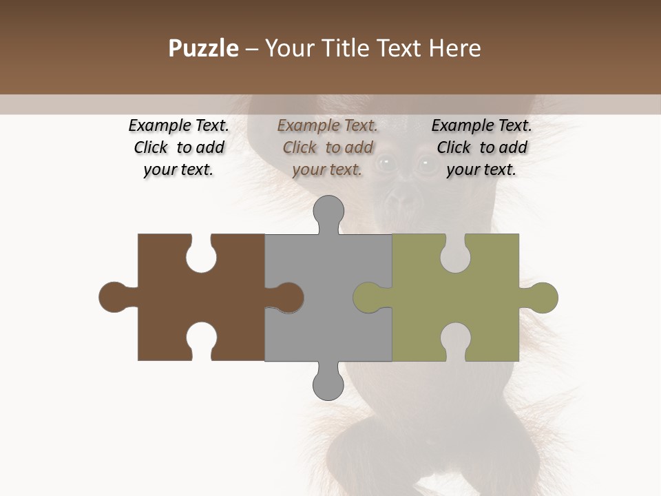 Indoors White Young Animal PowerPoint Template