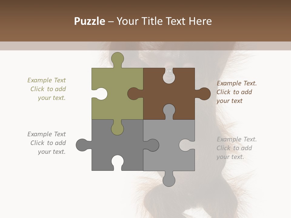 Indoors White Young Animal PowerPoint Template