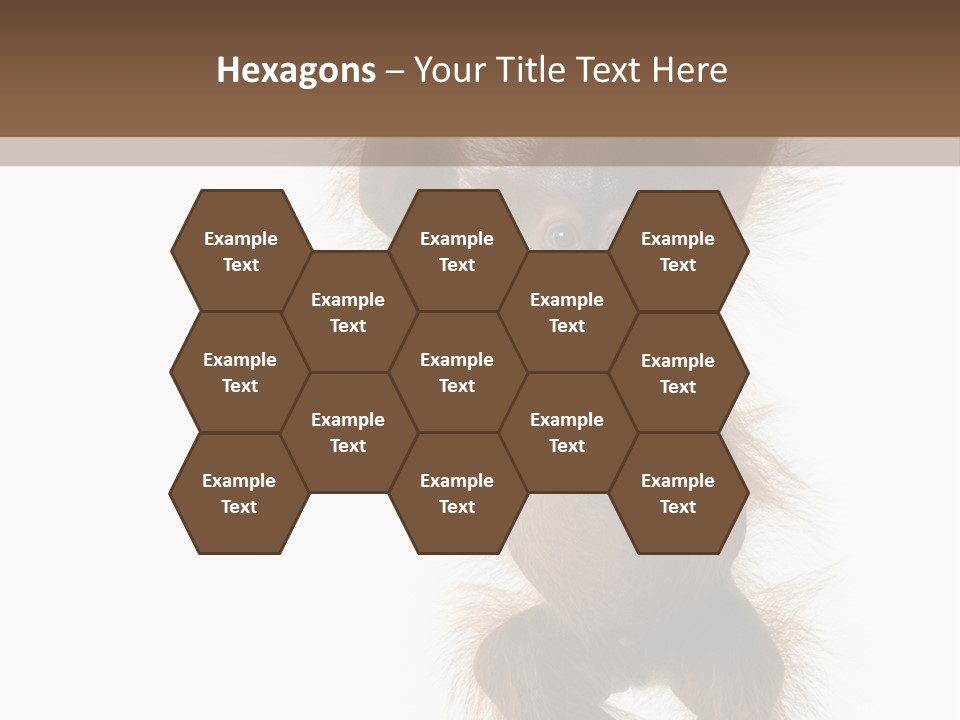 Indoors White Young Animal PowerPoint Template