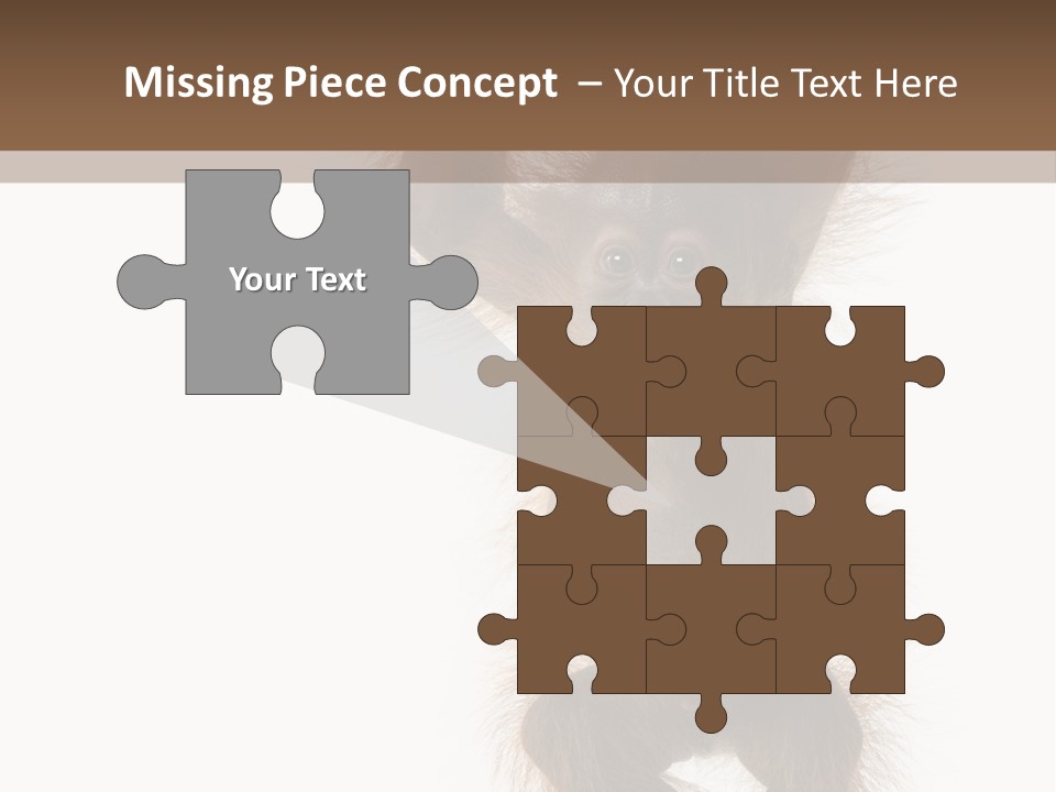 Indoors White Young Animal PowerPoint Template