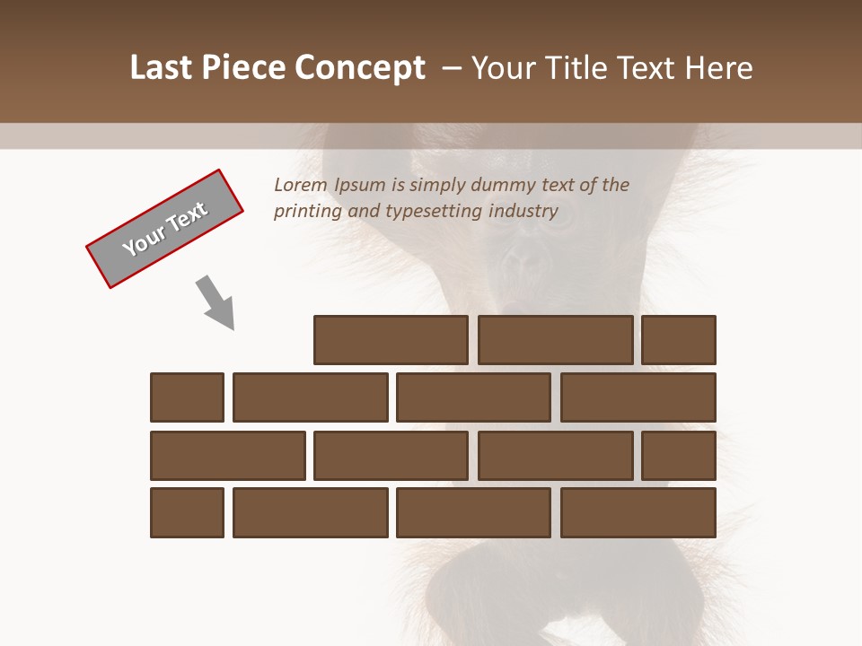 Indoors White Young Animal PowerPoint Template