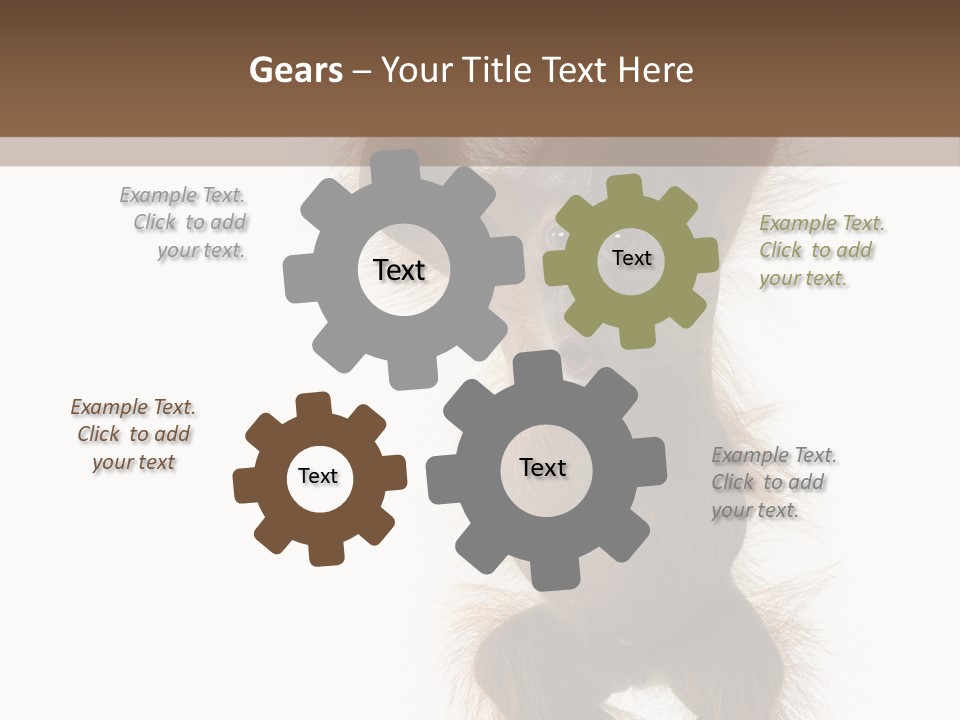 Indoors White Young Animal PowerPoint Template