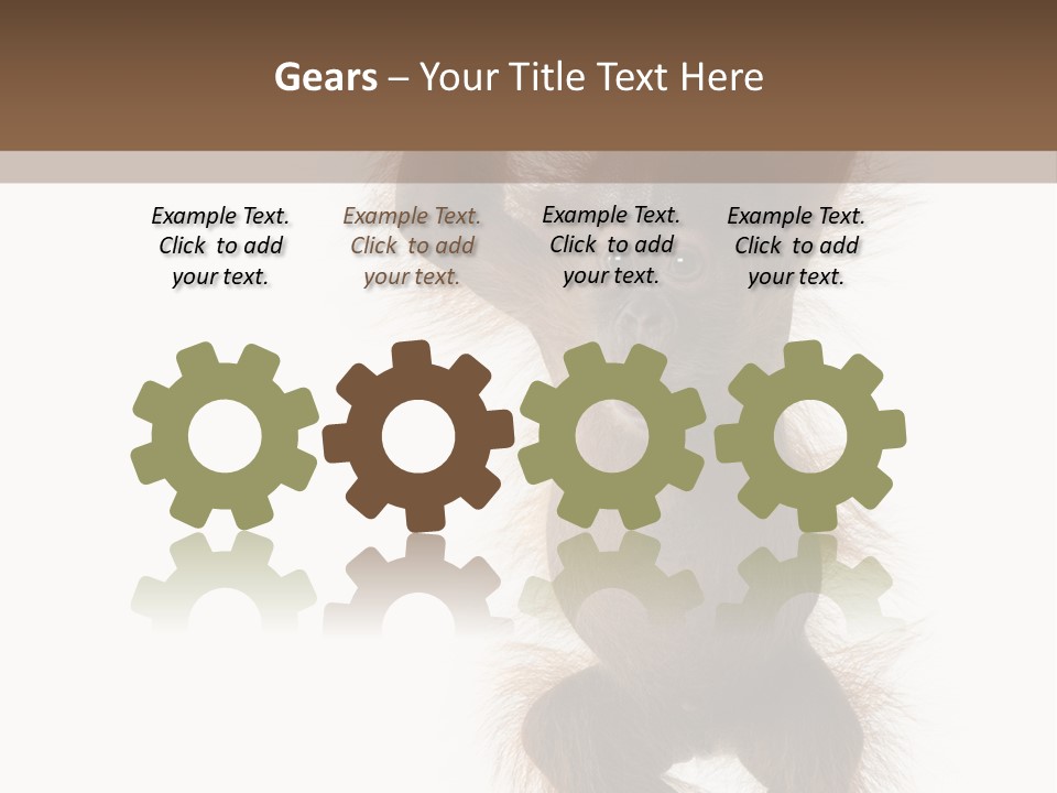 Indoors White Young Animal PowerPoint Template