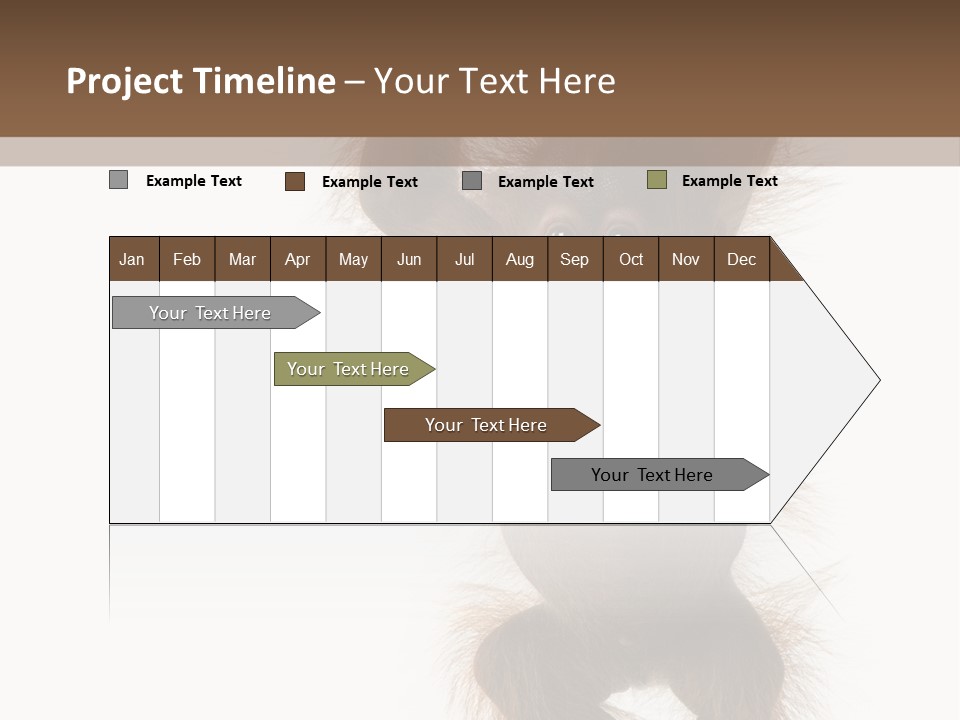 Indoors White Young Animal PowerPoint Template