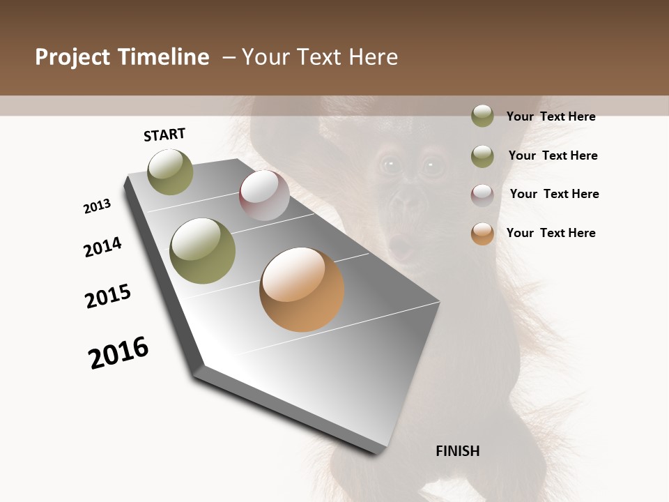 Indoors White Young Animal PowerPoint Template