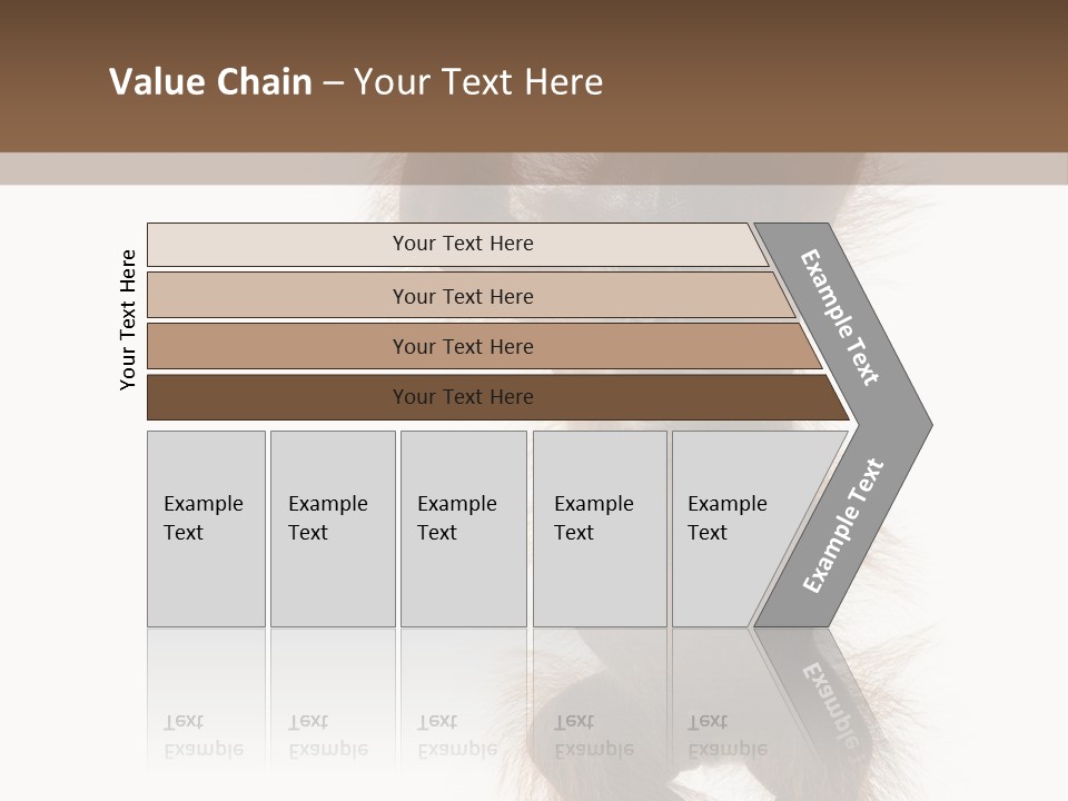 Indoors White Young Animal PowerPoint Template