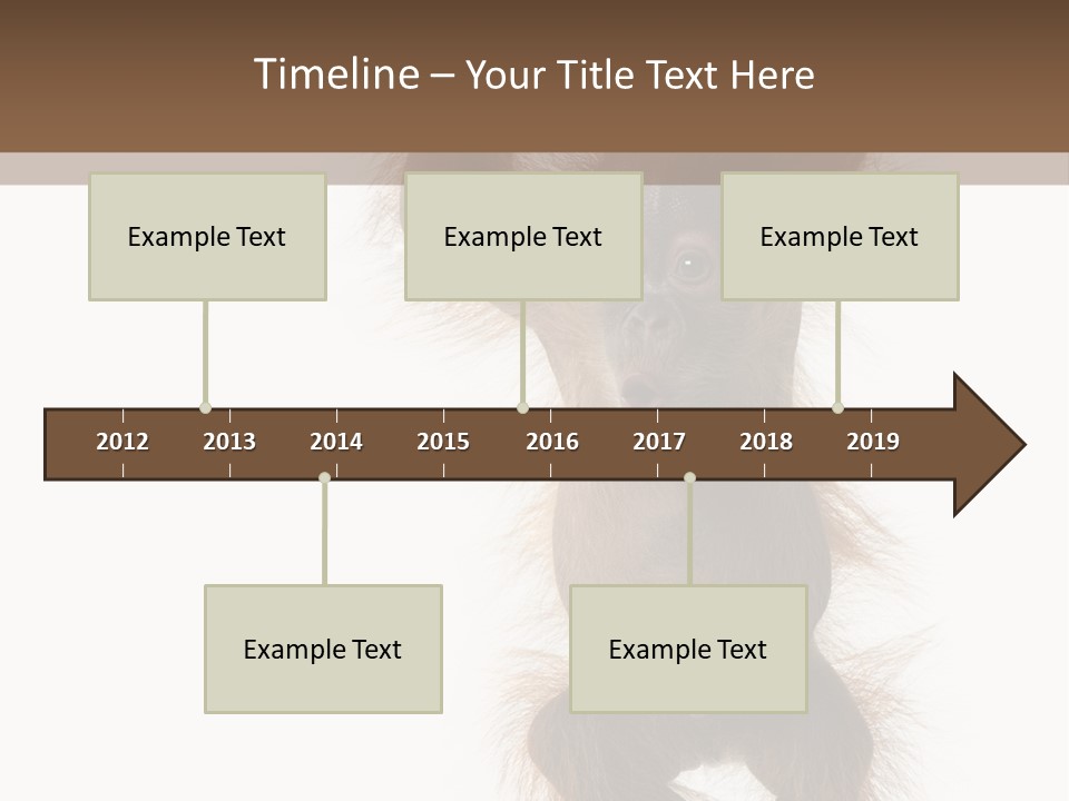 Indoors White Young Animal PowerPoint Template