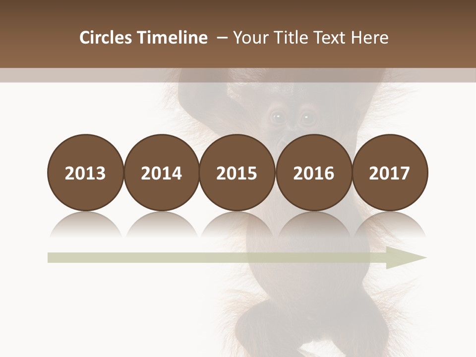 Indoors White Young Animal PowerPoint Template