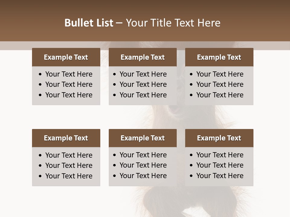 Indoors White Young Animal PowerPoint Template