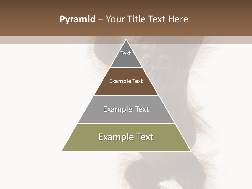 Indoors White Young Animal PowerPoint Template