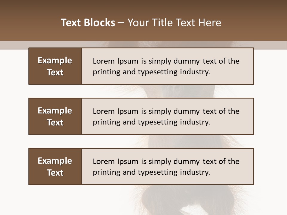 Indoors White Young Animal PowerPoint Template