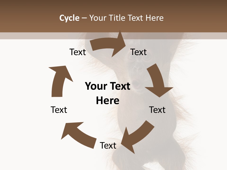 Indoors White Young Animal PowerPoint Template