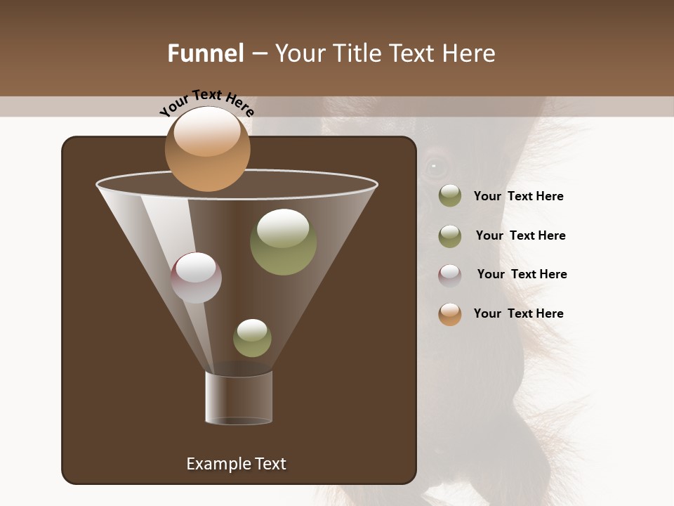 Indoors White Young Animal PowerPoint Template