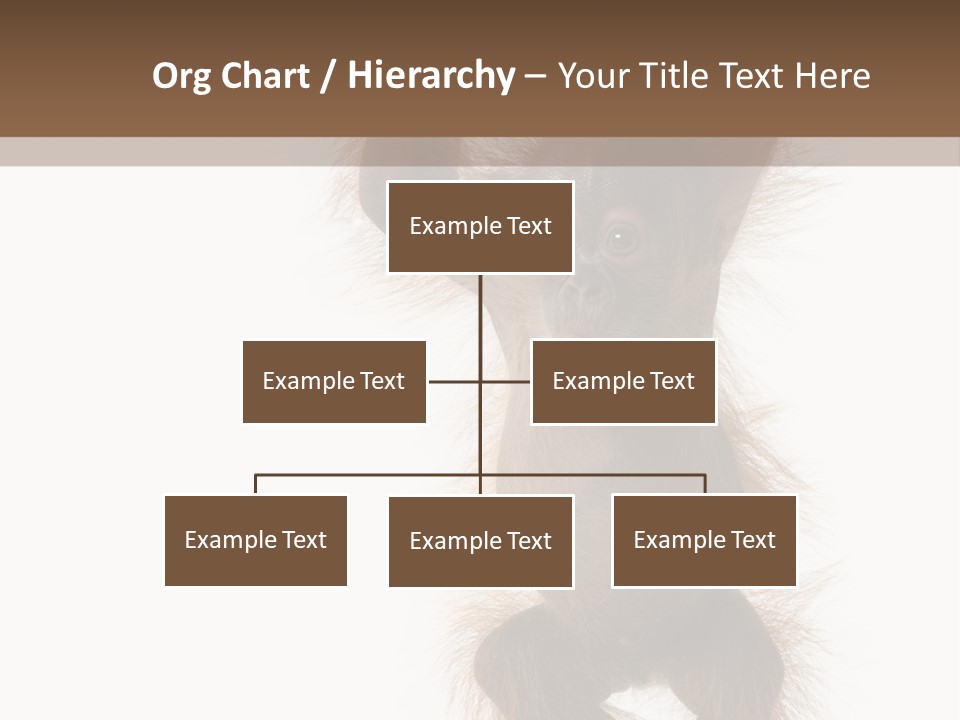 Indoors White Young Animal PowerPoint Template