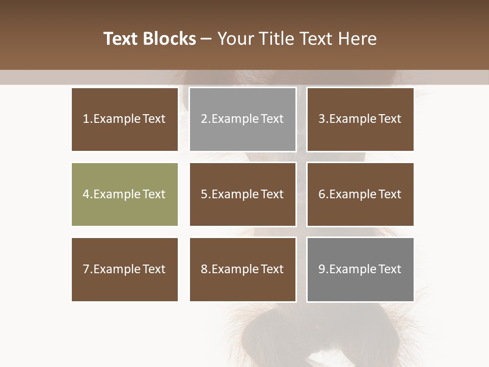 Indoors White Young Animal PowerPoint Template