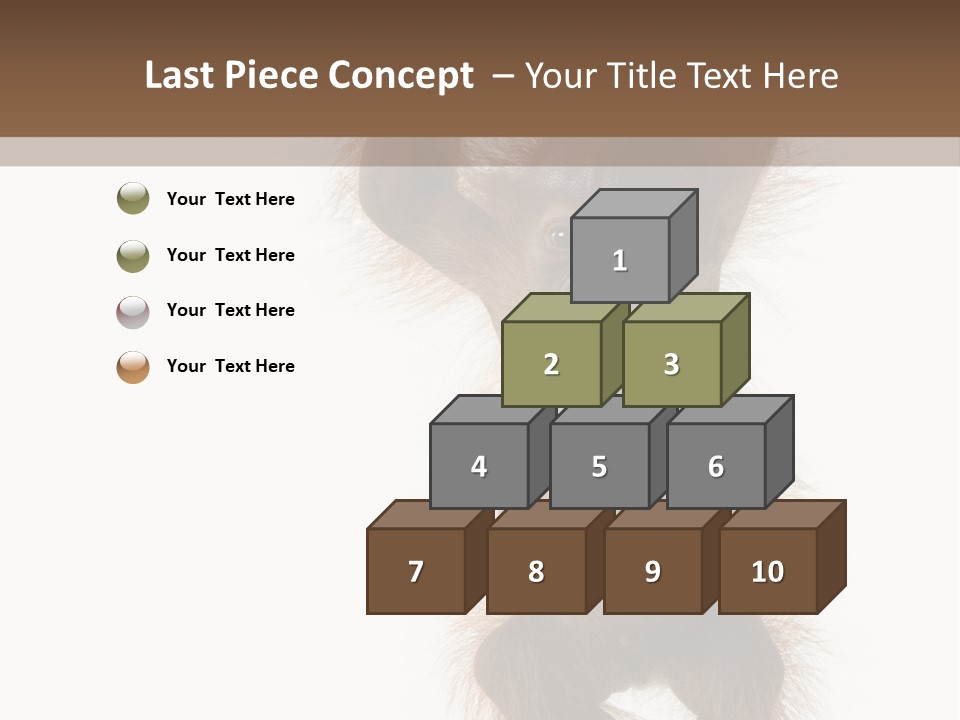 Indoors White Young Animal PowerPoint Template