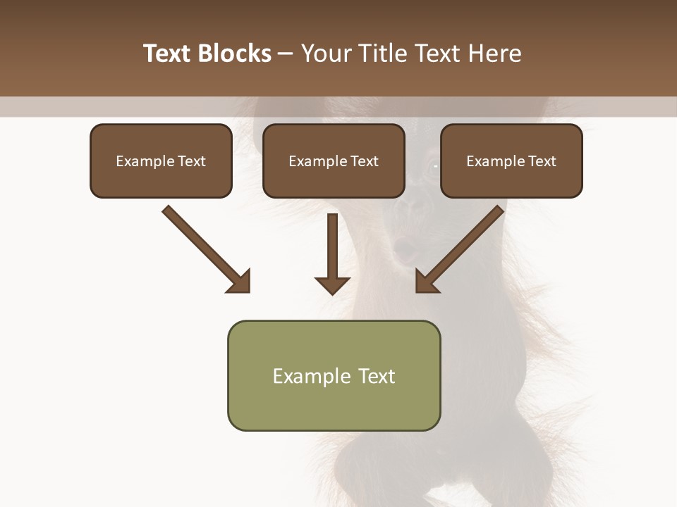 Indoors White Young Animal PowerPoint Template