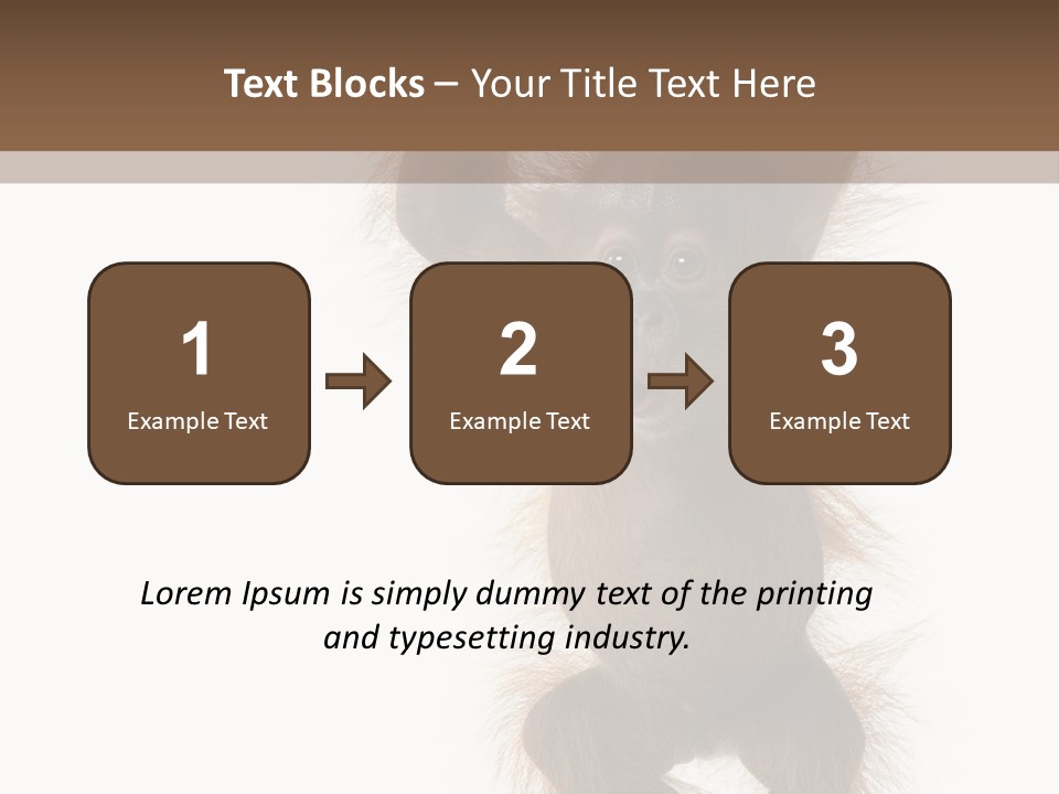 Indoors White Young Animal PowerPoint Template