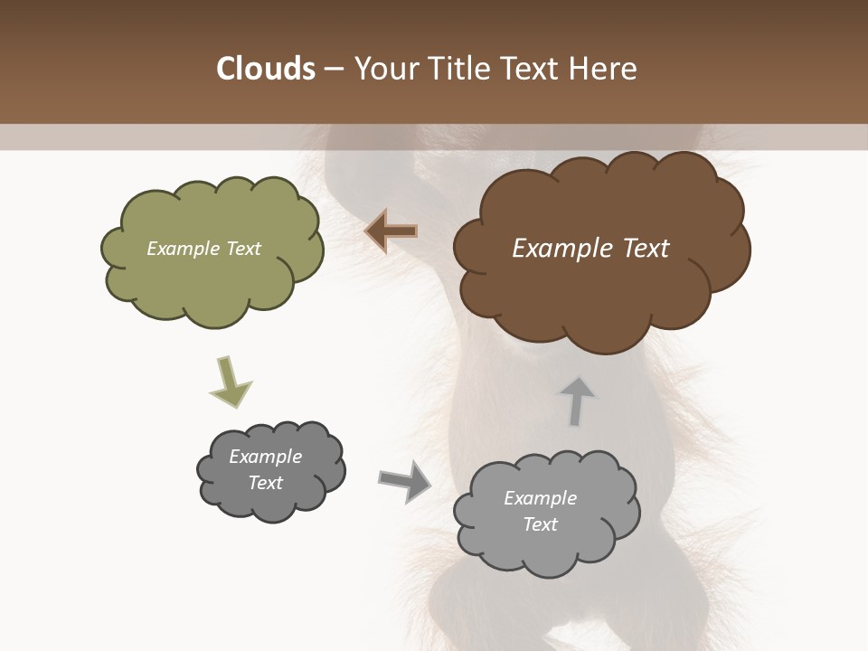 Indoors White Young Animal PowerPoint Template