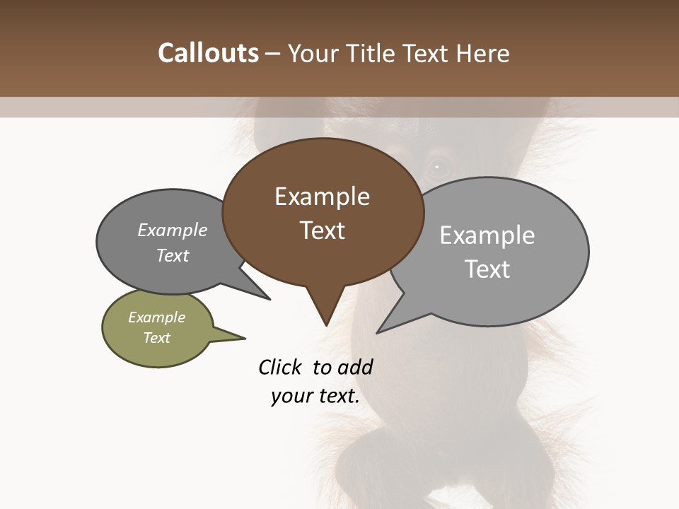 Indoors White Young Animal PowerPoint Template