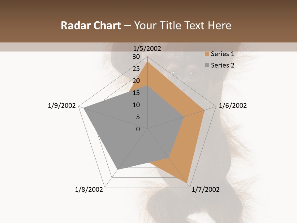 Indoors White Young Animal PowerPoint Template