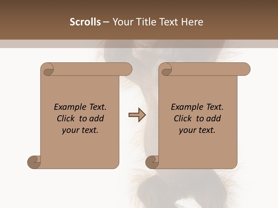 Indoors White Young Animal PowerPoint Template