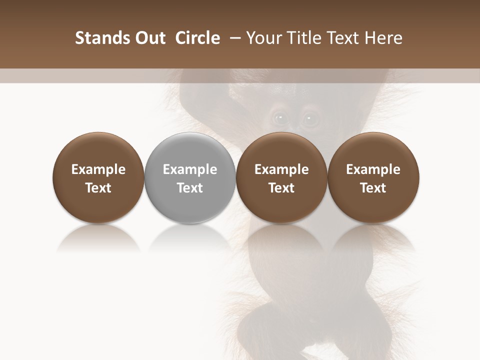 Indoors White Young Animal PowerPoint Template