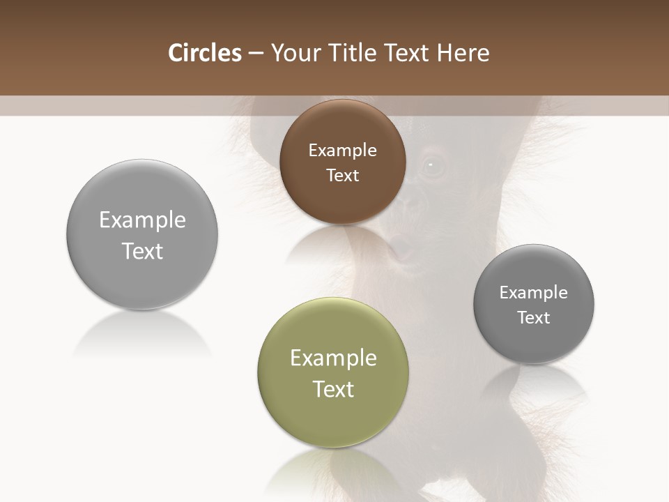 Indoors White Young Animal PowerPoint Template