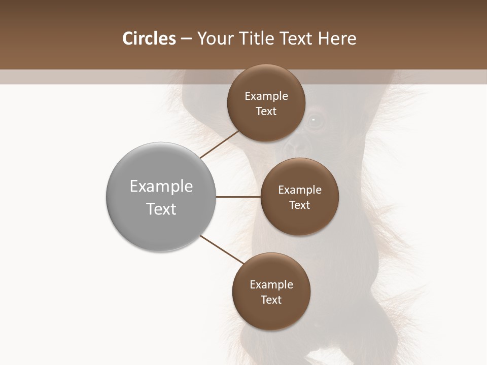 Indoors White Young Animal PowerPoint Template