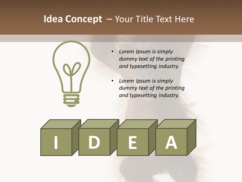 Indoors White Young Animal PowerPoint Template