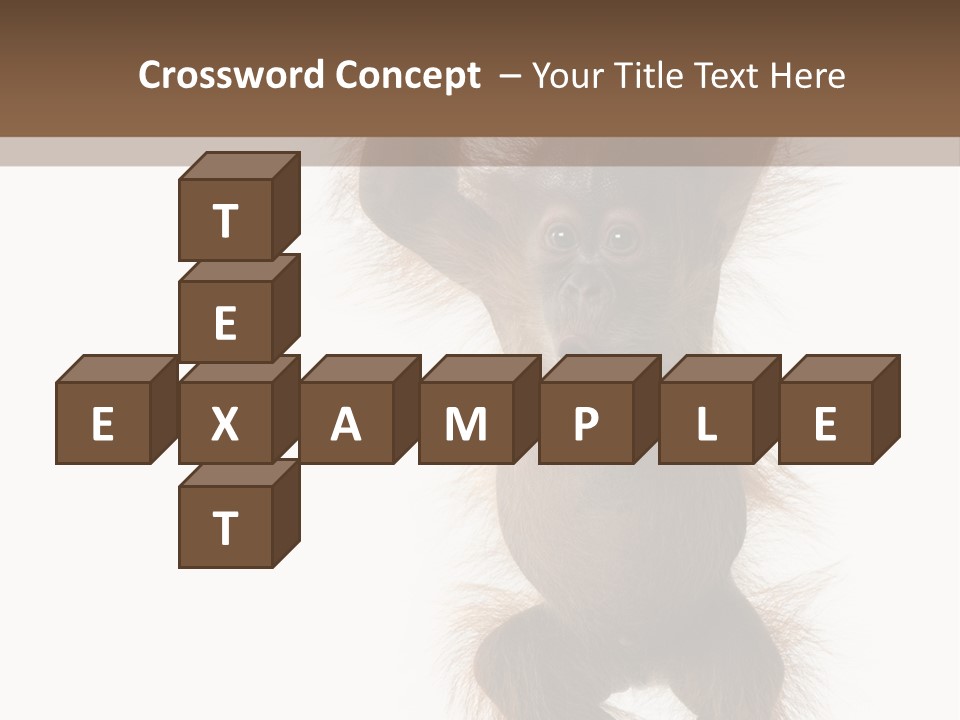 Indoors White Young Animal PowerPoint Template