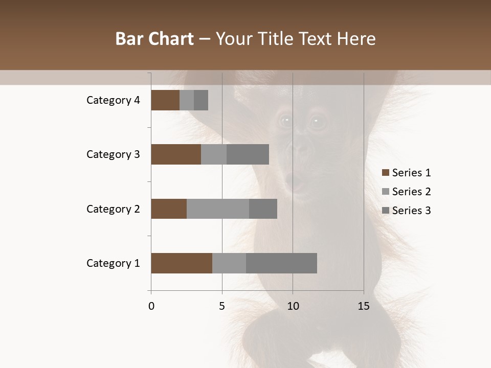 Indoors White Young Animal PowerPoint Template