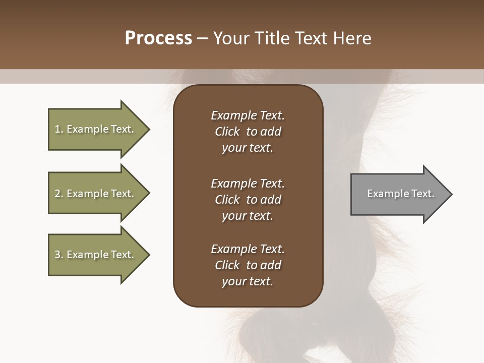 Indoors White Young Animal PowerPoint Template