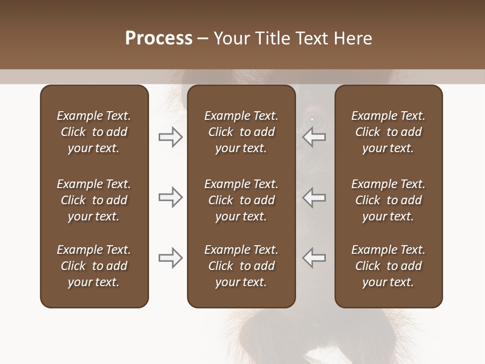 Indoors White Young Animal PowerPoint Template