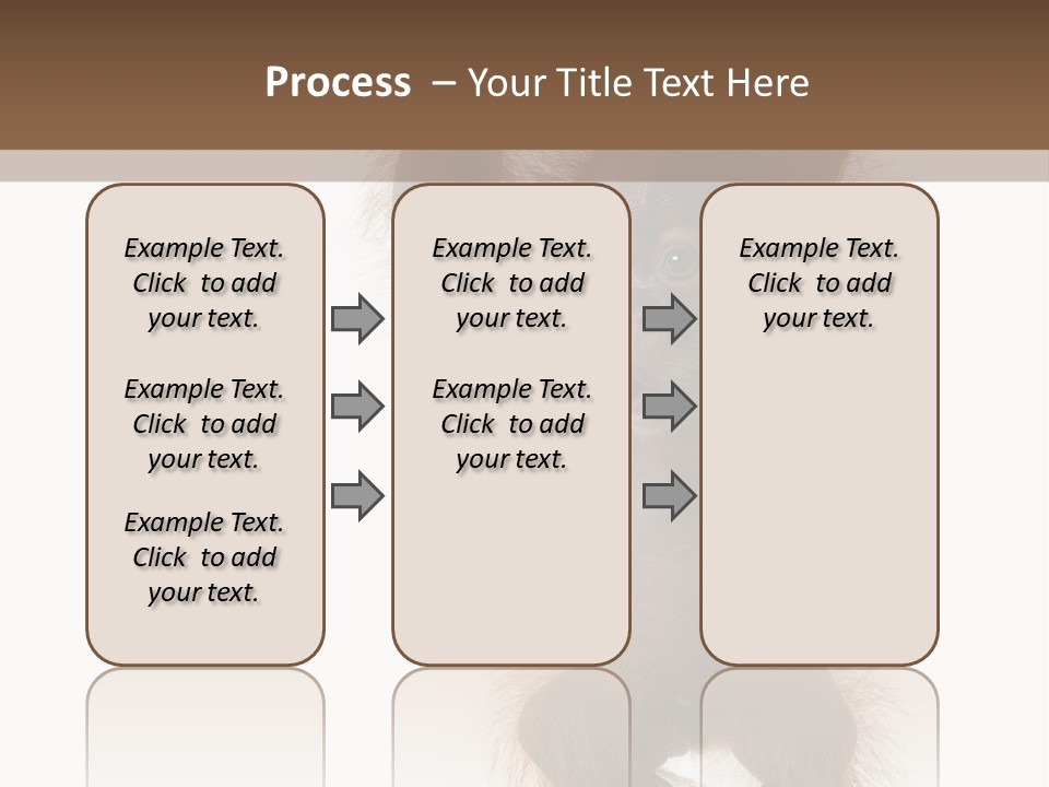 Indoors White Young Animal PowerPoint Template