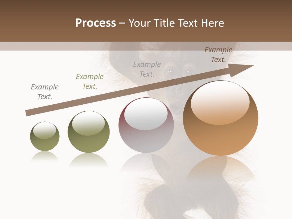 Indoors White Young Animal PowerPoint Template