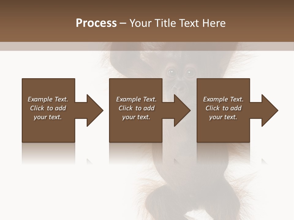 Indoors White Young Animal PowerPoint Template