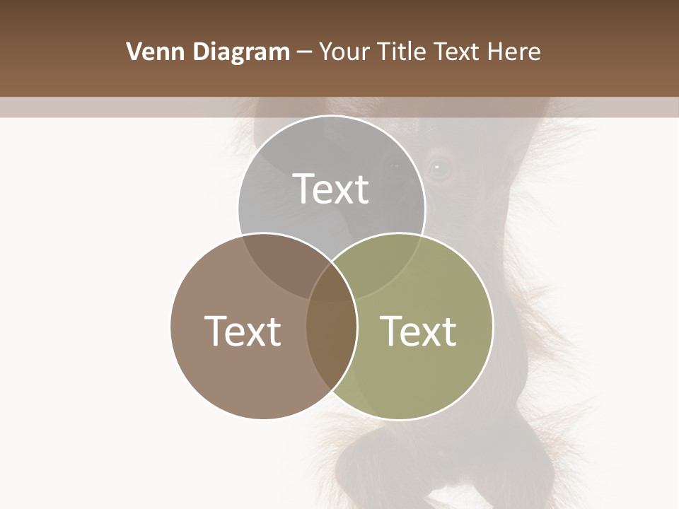 Indoors White Young Animal PowerPoint Template