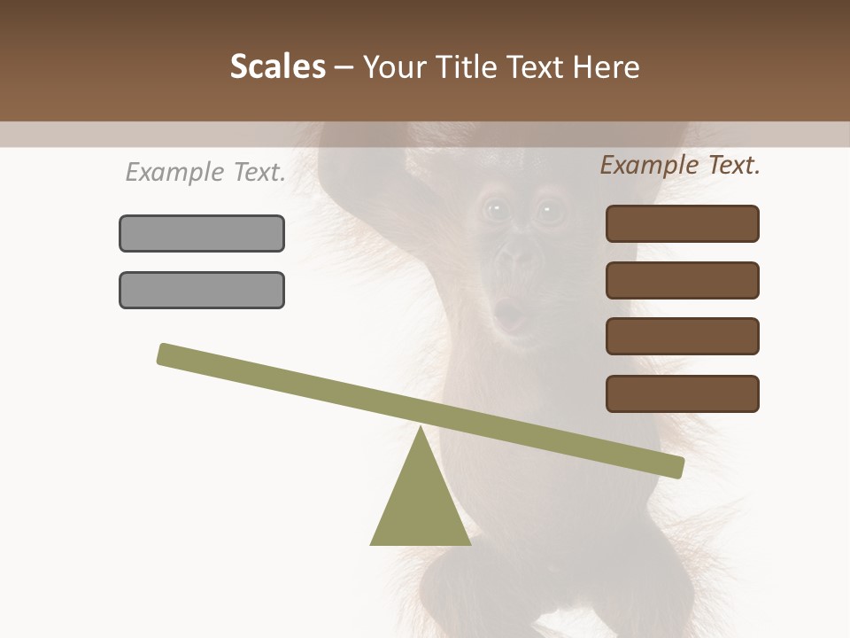 Indoors White Young Animal PowerPoint Template