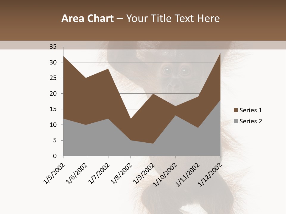 Indoors White Young Animal PowerPoint Template